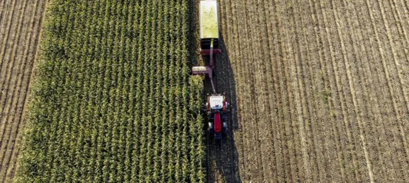 Excessive rainfall in Michigan may affect nutrients in soil amid fertilizer price increases